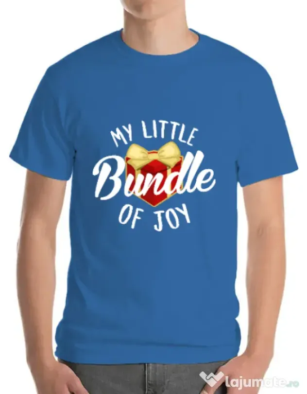 Tricou ADLER barbat Bundle of joy Albastru azuriu