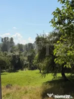 Pensiune de 11 camere, 650 mp, zona Sohodol-Bran