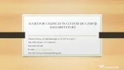 Curs Lucrător Calificat înCulturi de Câmp și Legumicultură 