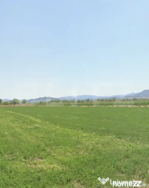 Teren extravilan arabil de vânzare – 17.400 mp în comuna - Rupea (Brasov)