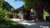 De vanzare in Baia Mare CASA SUB PADURE 
