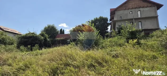 Teren casa 430 mp Piatra Neamt - Piatra-Neamt (Neamt)