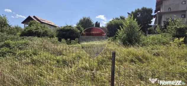 Teren casa 430 mp Piatra Neamt - Piatra-Neamt (Neamt)