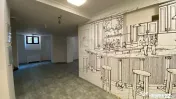 Vila de inchiriat Armeneasca 800mp Utili 