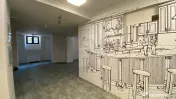 Vila de inchiriat Armeneasca 800mp Utili 