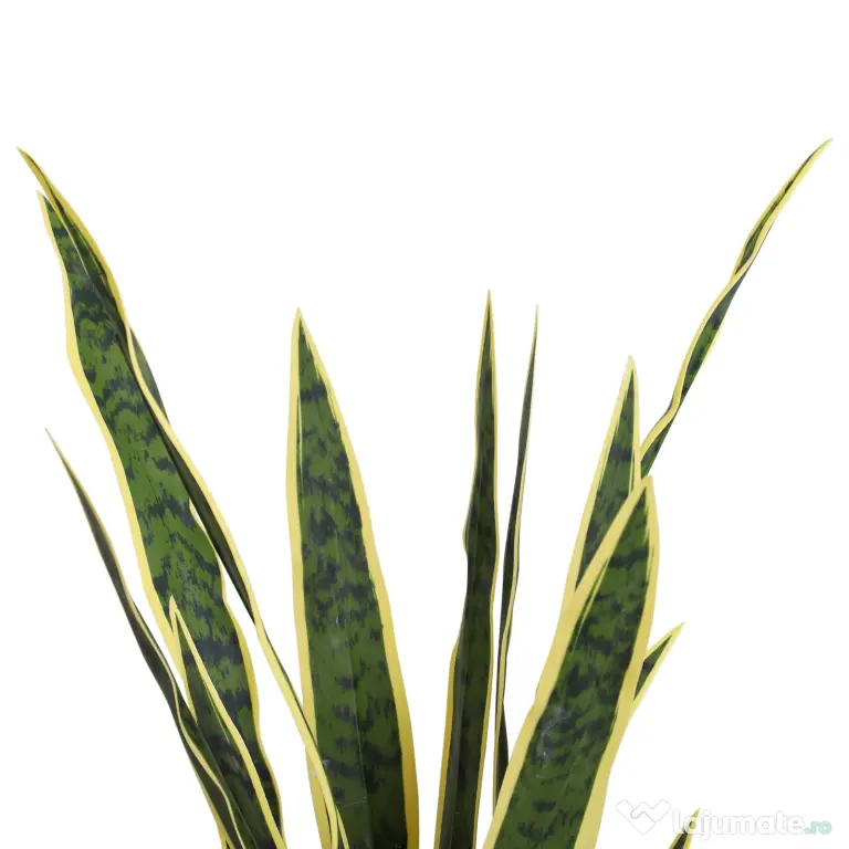 Outsunny Plantă Artificială Limba Soacrei în Ghiveci pentru Decor Interior și Exterior 15x80cm | Aosom Romania