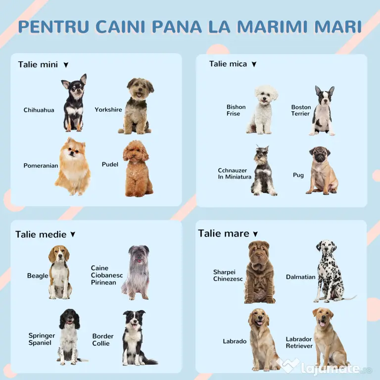 PawHut Casă Caini Plastic Talie Mare Rezistentă la Vreme Albastru 84.2x98.2x82cm | Aosom Romania