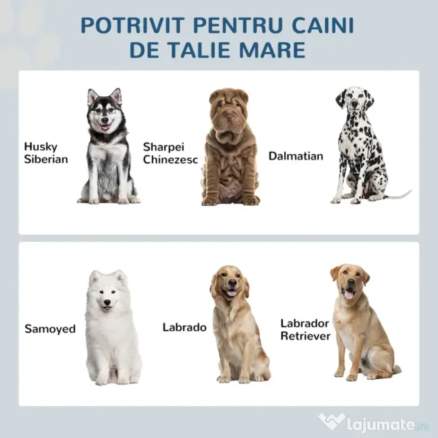 PawHut Statie Hranire Caini Mari – Suport inaltat cu 2 Boluri | Aosom Romania