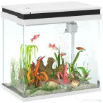 PawHut Acvariu de Sticlă pentru Pești cu Iluminare LED, Filtru și Pompă de Apă, 38x26x38 cm, Alb | Aosom Romania