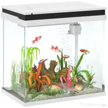 PawHut Acvariu de Sticlă pentru Pești cu Iluminare LED, Filtru și Pompă de Apă, 38x26x38 cm, Alb | Aosom Romania