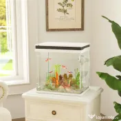PawHut Acvariu de Sticlă pentru Pești cu Iluminare LED, Filtru și Pompă de Apă, 38x26x38 cm, Alb | Aosom Romania