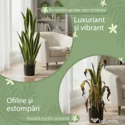 Outsunny Sansevieria Artificială în Ghiveci, Plantă Falsă pentru Interior și Exterior cu 21 de Frunze Modelabile, Ø20x90 cm | Aosom Romania