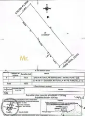 Teren intravilan 1203 mp Bascov-Florea zona Superba 