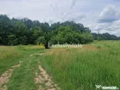 Teren extravilan Pitesti - str. Balotesi!! 