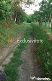 Teren extravilan Pitesti - str. Balotesi!! 