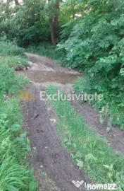 Teren extravilan Pitesti - str. Balotesi!! 