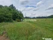 Teren extravilan Pitesti - str. Balotesi!! 