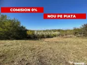 Teren Babana 5000mp intravilan