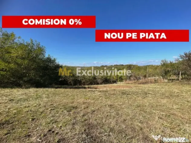 Teren Babana 5000mp intravilan