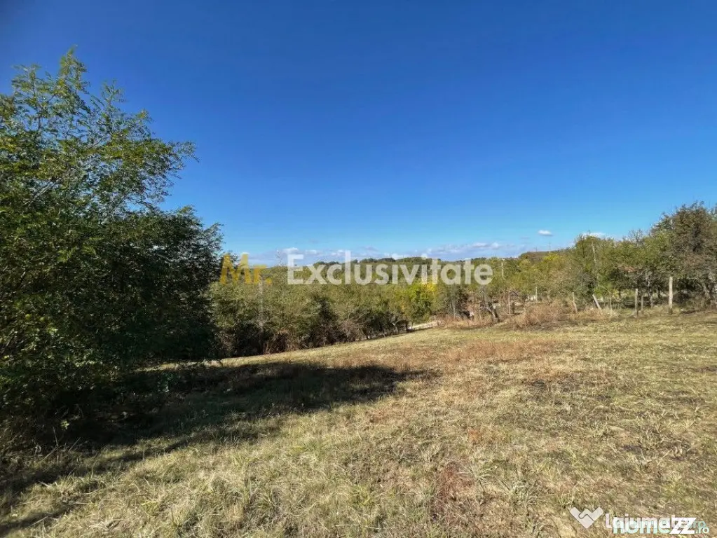 Teren Babana 5000mp intravilan