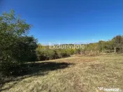 Teren Babana 5000mp intravilan