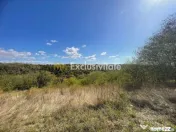 Teren Babana 5000mp intravilan