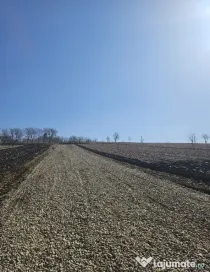 Teren Intravilan Zona Sfantu Ilie