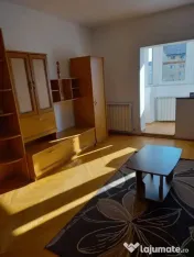 Apartament 2 camere decomandate Terezian (pet friendly) 