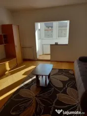 Apartament 2 camere decomandate Terezian (pet friendly) 