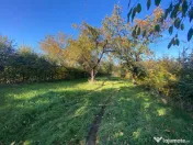 Teren extravilan 3200mp zona Tropinii Vechi 