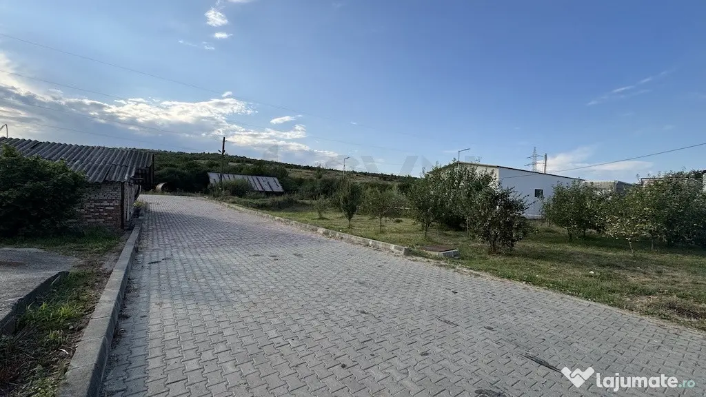 Afacere la cheie - Platforma industriala cu facilitati de...