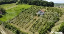 Casă și livadă de vânzare, 150 mp, zona Grebenișu de C?