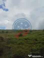 Teren de vanzare in Horezu/Pietrele Rosii/Valcea 