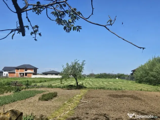Teren 1.055 mp cu 2 deschideri Dumitrana Măgurele Utilități,Merita! - Dumitrana (Bucuresti-Ilfov)