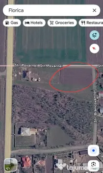 Teren intravilan sat Florica Comuna Ileana Calarasi