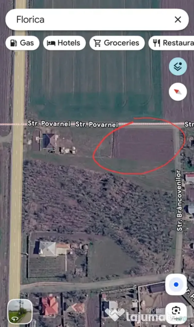 Teren intravilan sat Florica Comuna Ileana Calarasi