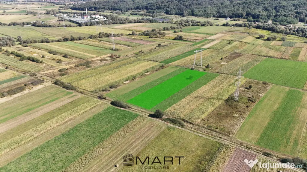 Teren extravilan de vânzare –5000 mp, Șelimbăr (Mohu) - Selimbar (Sibiu)