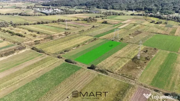 Teren extravilan de vânzare –5000 mp, Șelimbăr (Mohu) - Selimbar (Sibiu)