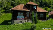 FILM! Casa traditionala pe domeniu de 4.300mp teren, Bran - 