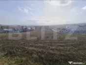 Teren intravilan 2.481 mp în Ernei – Stradă Principală, 