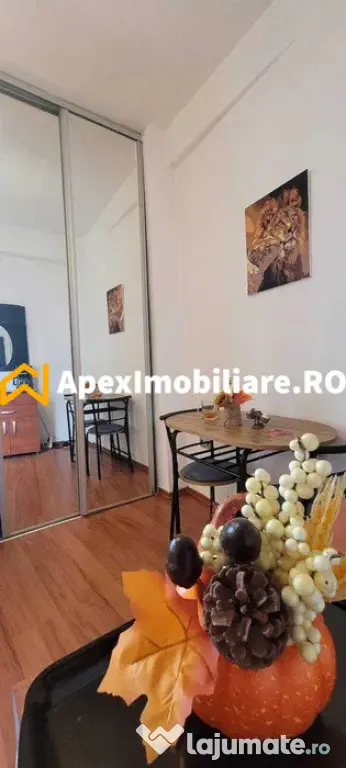 Garsoniera de inchiriat Cismigiu București | ApexImobiliare