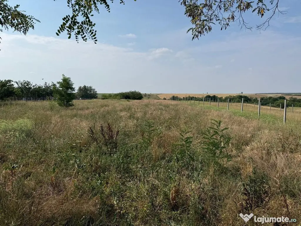 Teren intravilan Miersig, vedere la lac. 12,5 E/mp neg. C...