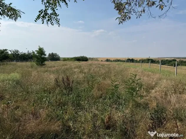 Teren intravilan Miersig, vedere la lac. 12,5 E/mp neg. C...
