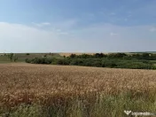 Teren intravilan Miersig, vedere la lac. 12,5 E/mp neg. C... 