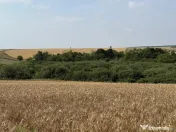 Teren intravilan Miersig, vedere la lac. 12,5 E/mp neg. C...