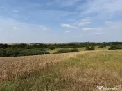 Teren intravilan Miersig, vedere la lac. 12,5 E/mp neg. C...