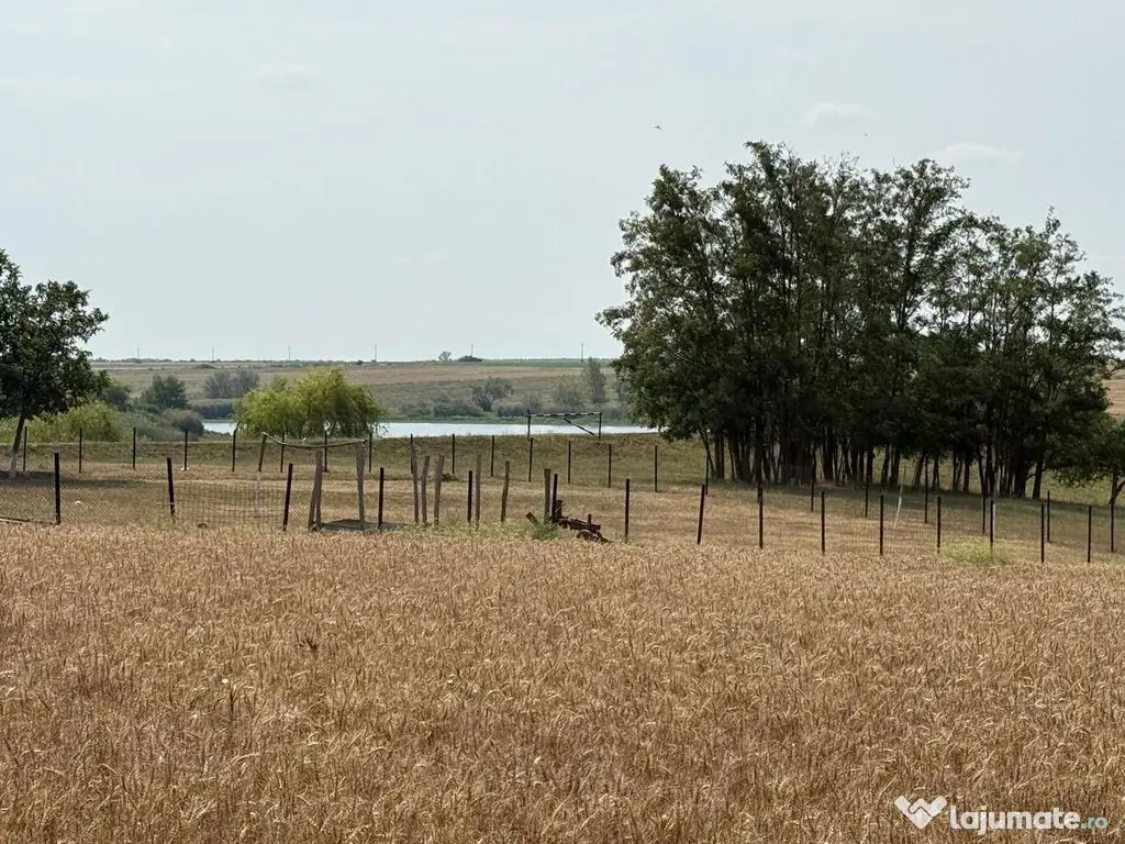 Teren intravilan Miersig, vedere la lac. 12,5 E/mp neg. C...