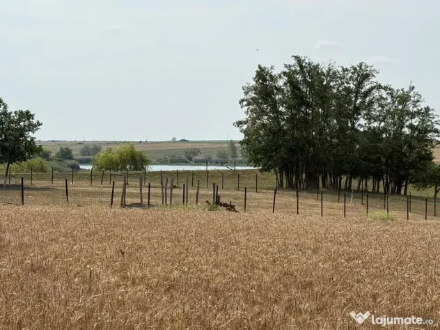 Teren intravilan Miersig, vedere la lac. 12,5 E/mp neg. C...