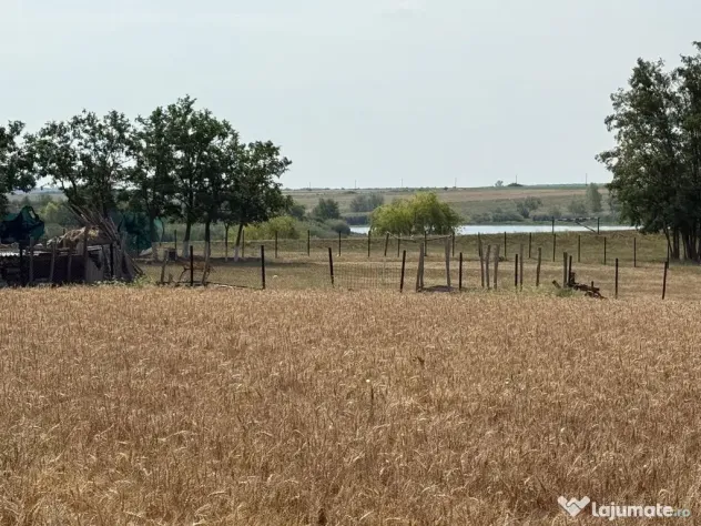 Teren intravilan Miersig, vedere la lac. 12,5 E/mp neg. C...