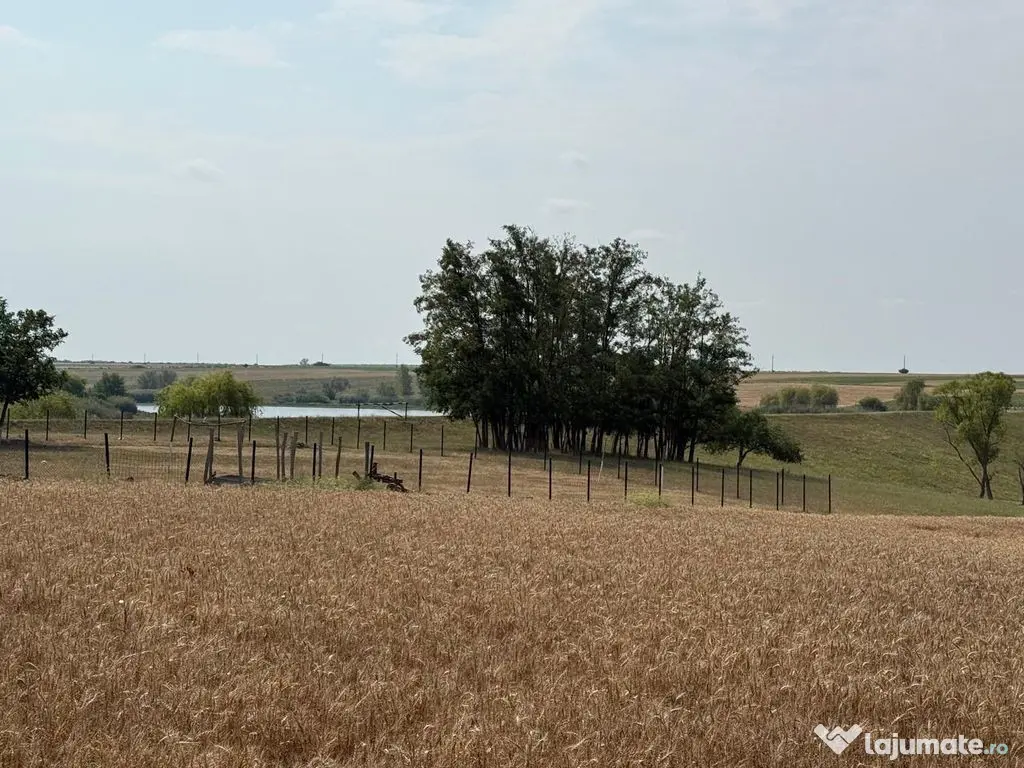 Teren intravilan Miersig, vedere la lac. 12,5 E/mp neg. C...